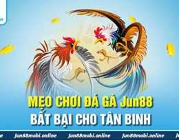 giao diện app sản phẩm đá gà tại jun88