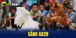 giao diện app tải trang đá gà trực tuyến