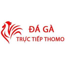 giao diện app thời tiết hôm nay đá gà trực tiếp hôm nay