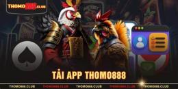 giao diện app thomo da ga live