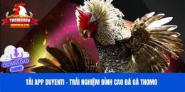 giao diện app thomo gà đòn đá gà tre