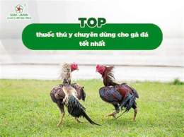 giao diện app thuốc gà đá mạnh nhất hiện nay