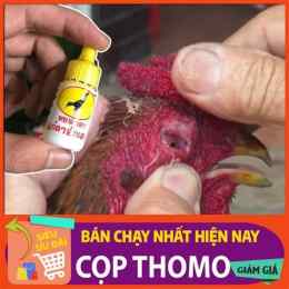 giao diện app thuốc nhỏ cho gà đá cựa sắt