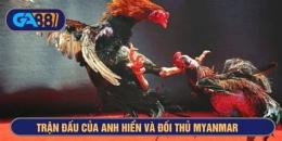 giao diện app trận gà đá xổ 300 của duyên ti