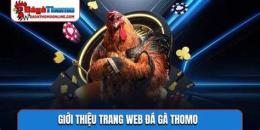 giao diện app trang web đá gà thomo