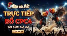 giao diện app trực tiếp đá gà bồ tịnh biên