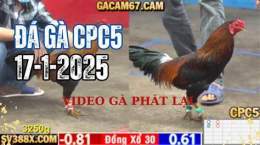 giao diện app truc tiep da ga c1 2 3 4