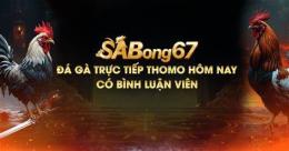 giao diện app truc tiep da ga sabong 67