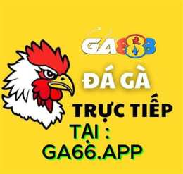 giao diện app trực tiếp đá gà thomoc1
