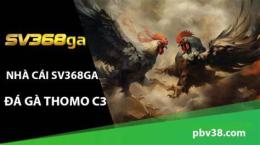 giao diện app tt đá gà thomo c3