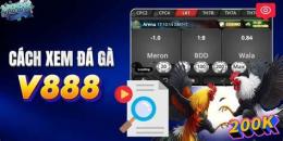 giao diện app v888 da ga