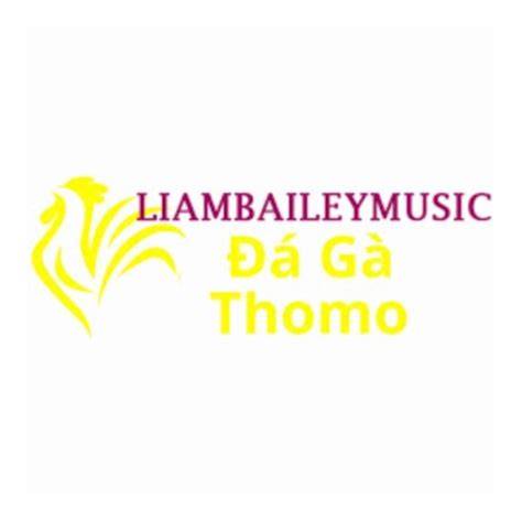 giao diện app web đá gà trực tiếp thomo