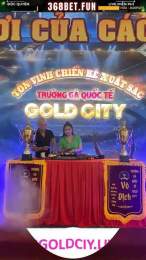 giao diện app xem đá gà gold city trực tiếp