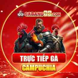 giao diện app xem đá gà trực tiếp camphuchia