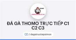 giao diện app xem đá gà trực tiếp thomo c1 c2 c3 c4