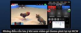 giao diện app xem phát lại đá gà thomo