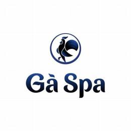 hình ảnh của gà spa đà nẵng