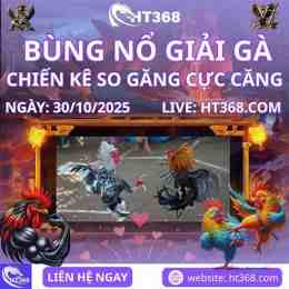ht368 đá gà