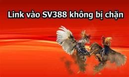hướng dẫn sử dụng 1sv388 link đá gà thomo