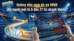 hướng dẫn sử dụng 888 đá gà