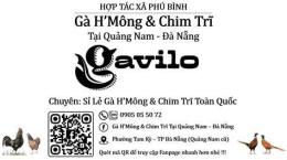hướng dẫn sử dụng bán gà h