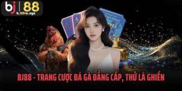 hướng dẫn sử dụng bj 88 trang đá gà