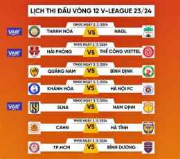 hướng dẫn sử dụng bóng đá hôm nay gà vàng