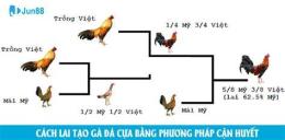 hướng dẫn sử dụng cach lai tao ga da hay