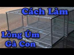 hướng dẫn sử dụng cách làm chuồng nuôi gà đá