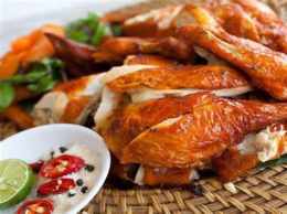hướng dẫn sử dụng cach lam ga quay da gion