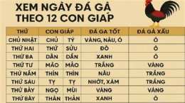 hướng dẫn sử dụng cach xem ngay da ga