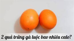 hướng dẫn sử dụng calo da gà