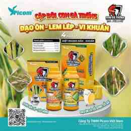 hướng dẫn sử dụng cặp gà sinh đôi đá hôm nay