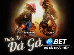 hướng dẫn sử dụng casino 999 casino 999 đá gà trực tiếp
