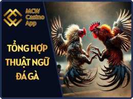 hướng dẫn sử dụng casino mcw đá gà
