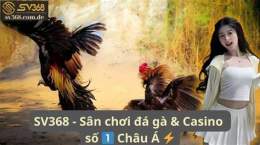 hướng dẫn sử dụng casino trực tuyến đá gà