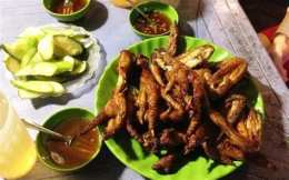 hướng dẫn sử dụng chân gà cây đa ngõ gạch
