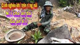 hướng dẫn sử dụng chó ăn đá gà ăn muối là gì