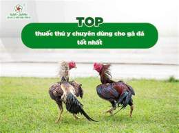 hướng dẫn sử dụng cho tot ga da quan 10