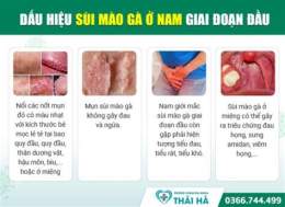 hướng dẫn sử dụng chua sui mao ga o benh vien da lieu tw