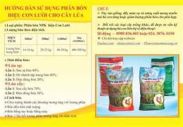 hướng dẫn sử dụng coi ngày tốt đi đá gà