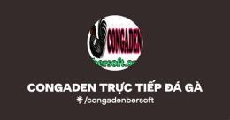 hướng dẫn sử dụng congaden trực tiếp đá gà