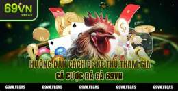 hướng dẫn sử dụng đá gà 69vn