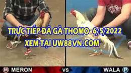 hướng dẫn sử dụng đá gà bữa nay trực tiếp