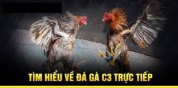 hướng dẫn sử dụng đá gà c3 ngày 8 tháng 12 năm 2024