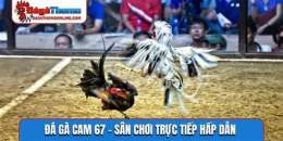 hướng dẫn sử dụng da ga cam 67 .com