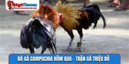 hướng dẫn sử dụng đa gà campuchia trực tiếp