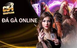 hướng dẫn sử dụng đá gà casino mới nhất hôm nay