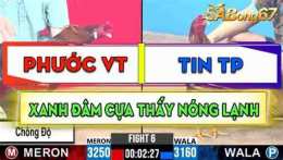 hướng dẫn sử dụng đá gà cpc3 trận 28