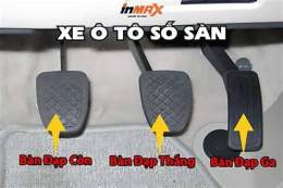 hướng dẫn sử dụng da ga fhomo